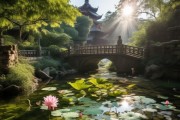 番禺秘境之旅，揭秘绝美景点的独特魅力