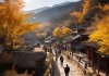 金溪风情游，探秘自然风光，领略历史韵味
