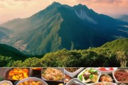 泰山美景与特色美食，游子心归处
