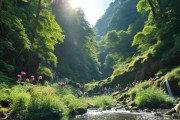 永嘉山水探秘，发现永嘉新玩法