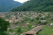 鹤立村，探秘乡村瑰宝，鹤舞田园风光