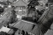 畅游威海免费攻略，65岁游客必看的威海景区之旅