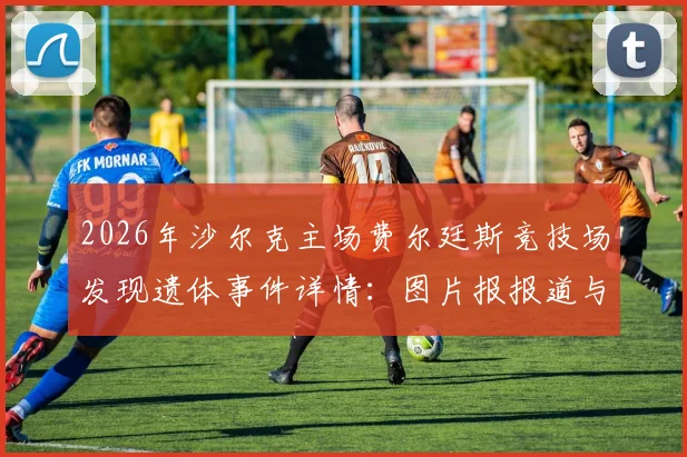 2026年沙尔克主场费尔廷斯竞技场发现遗体事件详情：图片报报道与俱乐部官方回应深度追踪